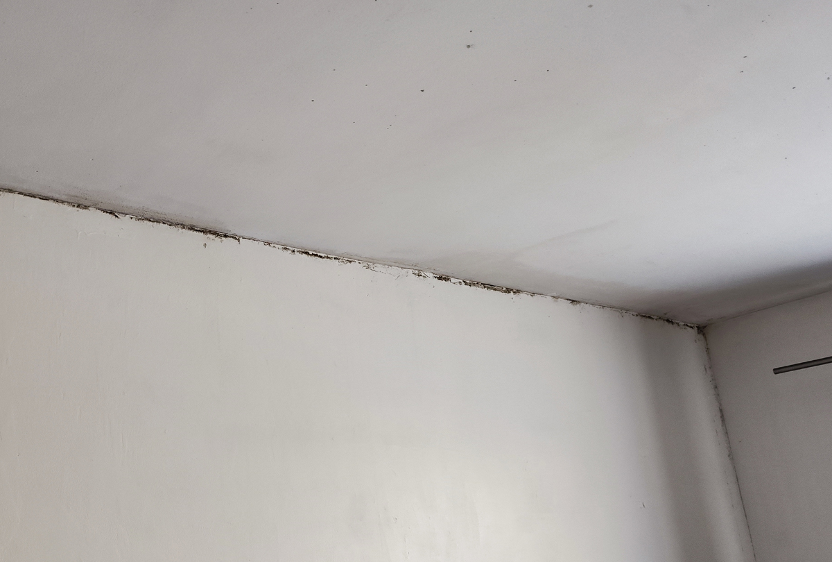 Relevé technique en vue de travaux d' isolation globale à Germigny l'évêque (77910)